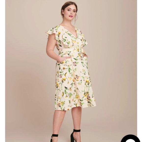 Tanya Taylor Inez Dress Size 2 